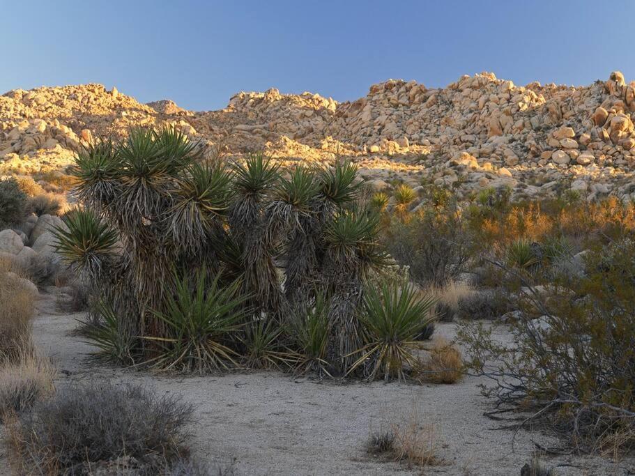 Panoramic Heaven - Luxury Designer W Holiday home Joshua Tree