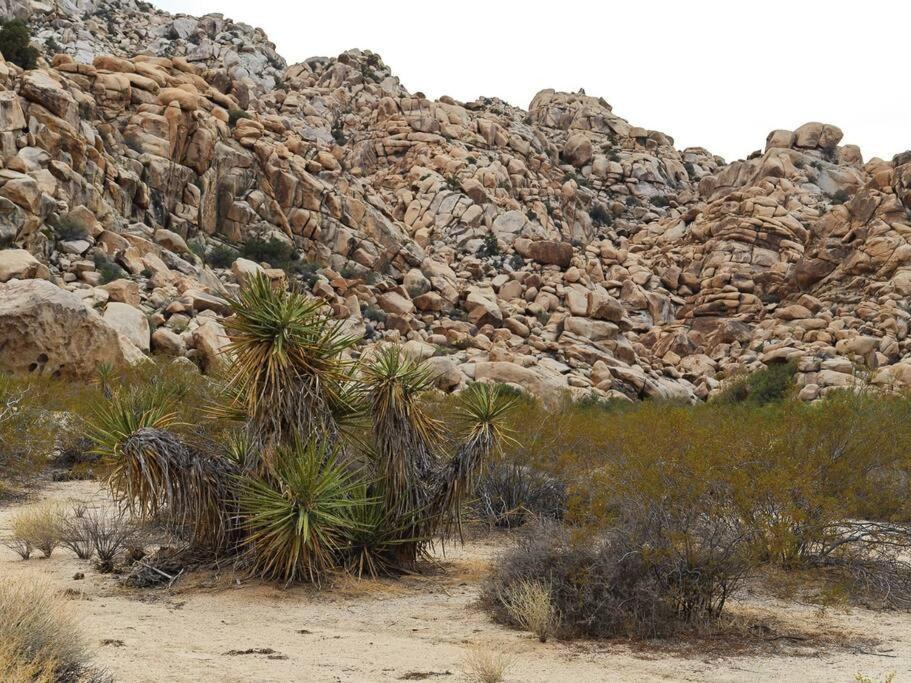 Holiday home Panoramic Heaven - Luxury Designer W Joshua Tree
